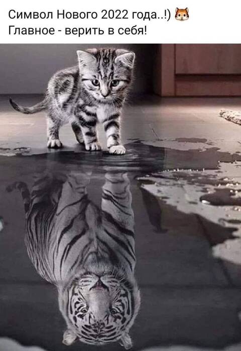 https://upforme.ru/uploads/000f/b9/e8/2/t688796.jpg