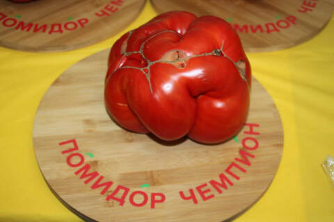 https://upforme.ru/uploads/000f/b9/e8/2/t874407.jpg