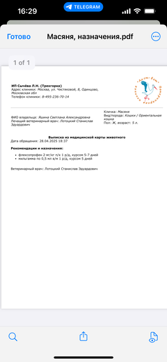 https://upforme.ru/uploads/000f/f6/ce/1227/t104854.png