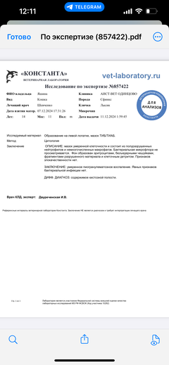 https://upforme.ru/uploads/000f/f6/ce/1227/t133687.png