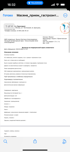 https://upforme.ru/uploads/000f/f6/ce/1227/t139366.png