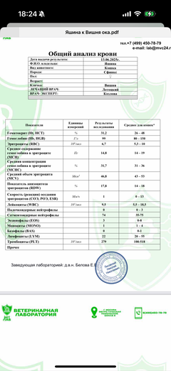 https://upforme.ru/uploads/000f/f6/ce/1227/t150024.png