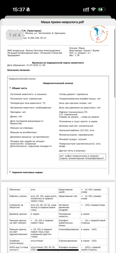 https://upforme.ru/uploads/000f/f6/ce/1227/t169037.png