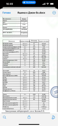 https://upforme.ru/uploads/000f/f6/ce/1227/t255176.png