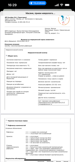 https://upforme.ru/uploads/000f/f6/ce/1227/t261767.png
