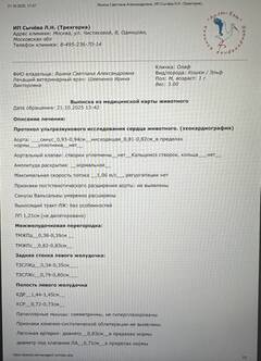 https://upforme.ru/uploads/000f/f6/ce/1227/t277040.jpg