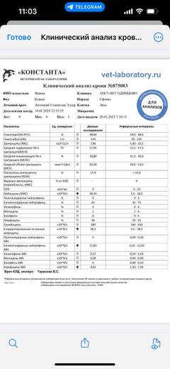 https://upforme.ru/uploads/000f/f6/ce/1227/t30643.jpg