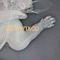 https://upforme.ru/uploads/000f/f6/ce/1227/t309690.jpg