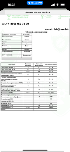 https://upforme.ru/uploads/000f/f6/ce/1227/t313479.png