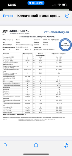 https://upforme.ru/uploads/000f/f6/ce/1227/t355043.png