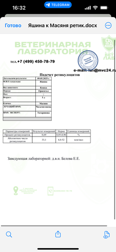 https://upforme.ru/uploads/000f/f6/ce/1227/t433818.png