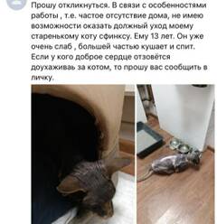 https://upforme.ru/uploads/000f/f6/ce/1227/t444464.jpg