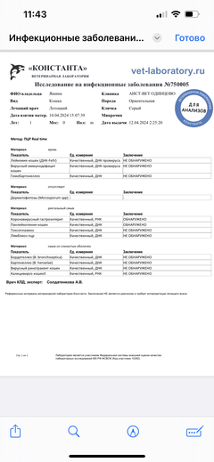 https://upforme.ru/uploads/000f/f6/ce/1227/t450456.png