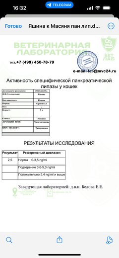 https://upforme.ru/uploads/000f/f6/ce/1227/t505448.png