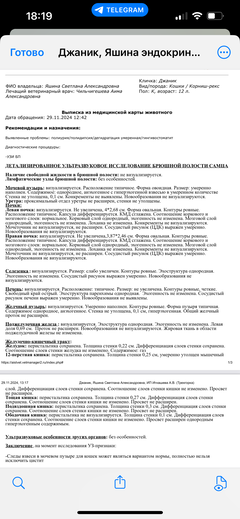 https://upforme.ru/uploads/000f/f6/ce/1227/t50570.png