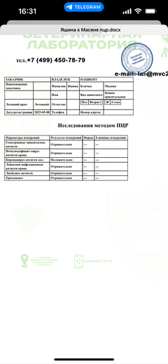 https://upforme.ru/uploads/000f/f6/ce/1227/t538597.png