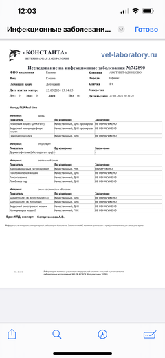 https://upforme.ru/uploads/000f/f6/ce/1227/t586938.png