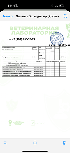 https://upforme.ru/uploads/000f/f6/ce/1227/t610383.png