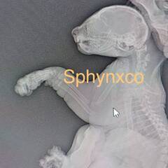 https://upforme.ru/uploads/000f/f6/ce/1227/t629881.jpg