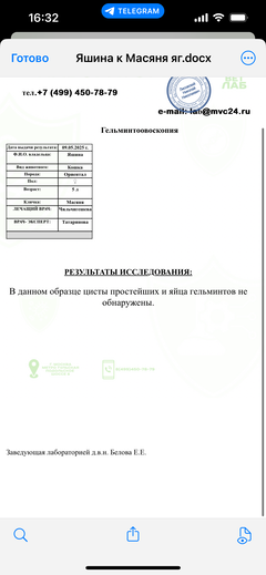 https://upforme.ru/uploads/000f/f6/ce/1227/t661316.png