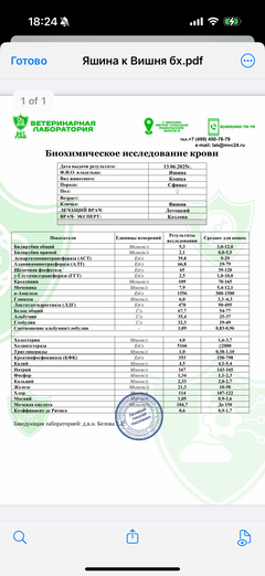 https://upforme.ru/uploads/000f/f6/ce/1227/t679747.png