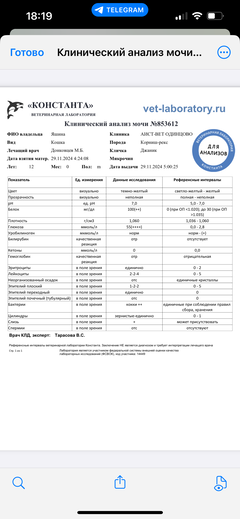https://upforme.ru/uploads/000f/f6/ce/1227/t729523.png