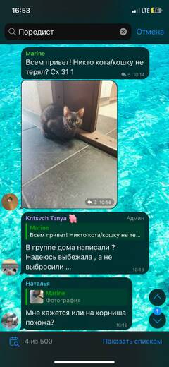 https://upforme.ru/uploads/000f/f6/ce/1227/t733646.jpg