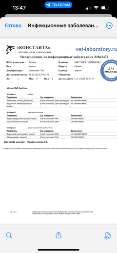 https://upforme.ru/uploads/000f/f6/ce/1227/t740904.png