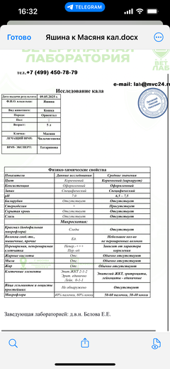 https://upforme.ru/uploads/000f/f6/ce/1227/t767554.png