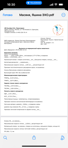 https://upforme.ru/uploads/000f/f6/ce/1227/t768870.png