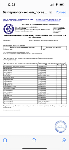 https://upforme.ru/uploads/000f/f6/ce/1227/t775623.png