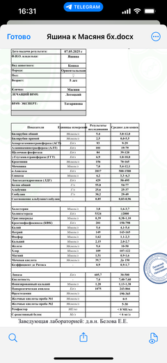 https://upforme.ru/uploads/000f/f6/ce/1227/t817470.png