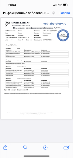 https://upforme.ru/uploads/000f/f6/ce/1227/t82700.png