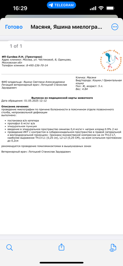 https://upforme.ru/uploads/000f/f6/ce/1227/t871071.png