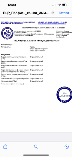 https://upforme.ru/uploads/000f/f6/ce/1227/t871317.png