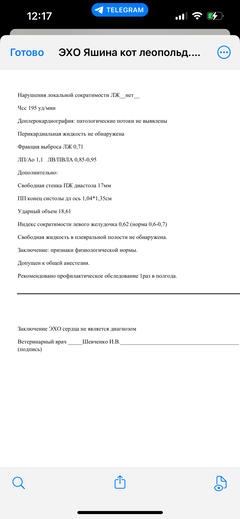 https://upforme.ru/uploads/000f/f6/ce/1227/t884770.png