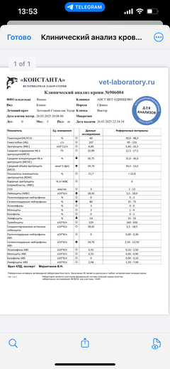 https://upforme.ru/uploads/000f/f6/ce/1227/t887609.png