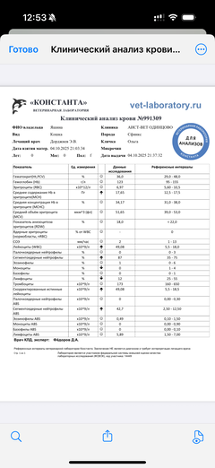 https://upforme.ru/uploads/000f/f6/ce/1227/t892184.png