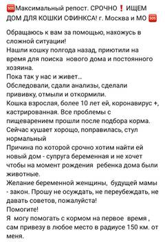 https://upforme.ru/uploads/000f/f6/ce/1227/t895776.jpg