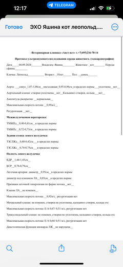 https://upforme.ru/uploads/000f/f6/ce/1227/t930559.png