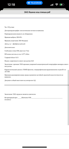 https://upforme.ru/uploads/000f/f6/ce/1227/t943534.png