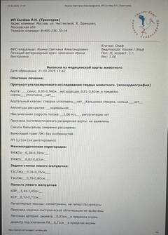 https://upforme.ru/uploads/000f/f6/ce/1227/t96195.jpg