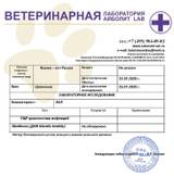 https://upforme.ru/uploads/000f/f6/ce/2/t552959.jpg
