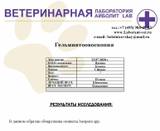 https://upforme.ru/uploads/000f/f6/ce/2/t89577.jpg