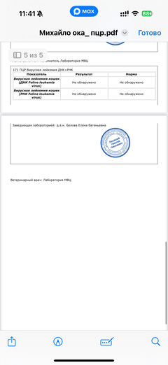 https://upforme.ru/uploads/000f/f6/ce/291/t147249.png