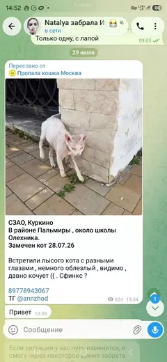https://upforme.ru/uploads/000f/f6/ce/291/t158962.webp
