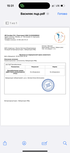 https://upforme.ru/uploads/000f/f6/ce/291/t187252.png