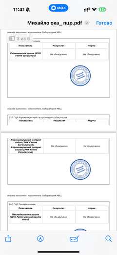 https://upforme.ru/uploads/000f/f6/ce/291/t225190.png