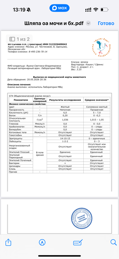 https://upforme.ru/uploads/000f/f6/ce/291/t231094.png