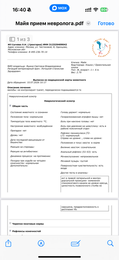 https://upforme.ru/uploads/000f/f6/ce/291/t241583.png